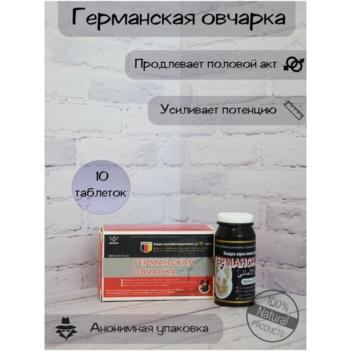 ������ ������ ������������ �������� ���������� �������, 10 �������� ����