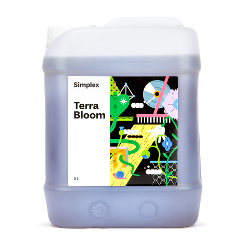  Simplex Terra Bloom 5      -     , -,   