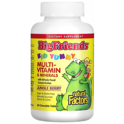  Natural Factors, Big Friends, Chewable Multi-Vitamin ans Minerals,    ,   , 60     -     , -,   