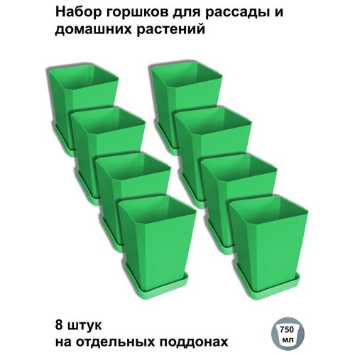 ������ ������ ������ ��� ������� � ������, 8 ���� �� ��������� ��������, ������� ����