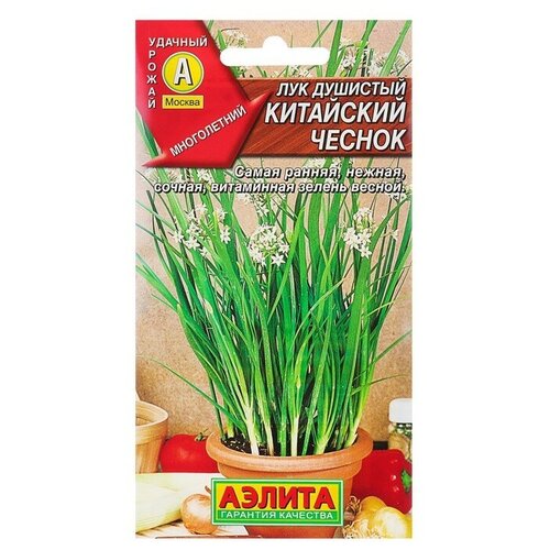 ������ ������ ������. ��� �������� 