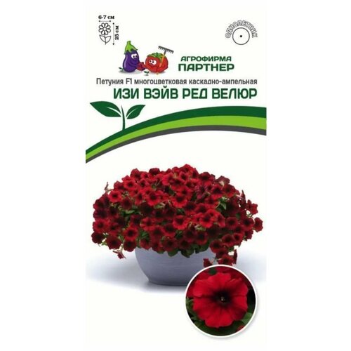 ������ ������ ������ ������� �������������� ��������-��������� 