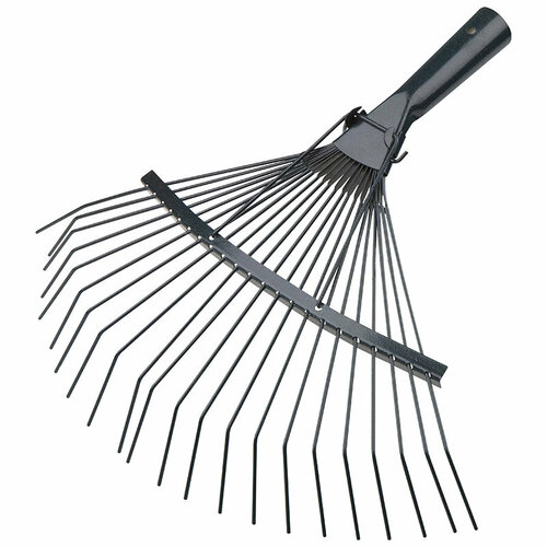 ������ ������ ������ ������� 22 ���� � ������������� ����