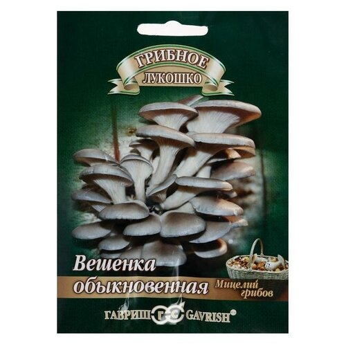 ������ ������ ������� ������ ������� ������������ �� ��������� ������� 12 ��./ ������ ������ ����