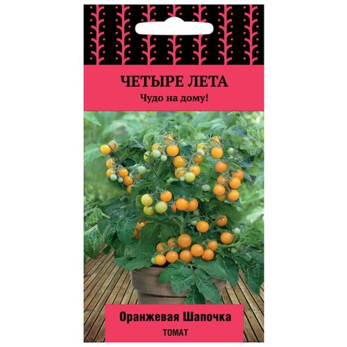 ������ ������ ������ ����� ��������� ������� ����� 5�� ��� ������ (�����) ������ ���� ����