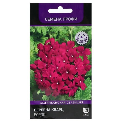 ������ ������ ������ ������ ������� 