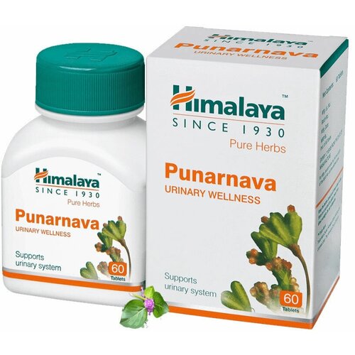 ������ ������ ��������� (Punarnava) ��� ����� � ������ 60��� ����