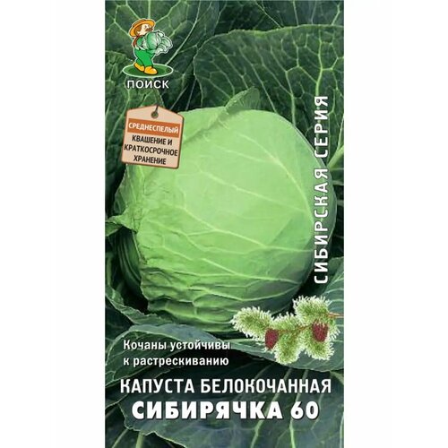 ������ ������ ������� �/� 