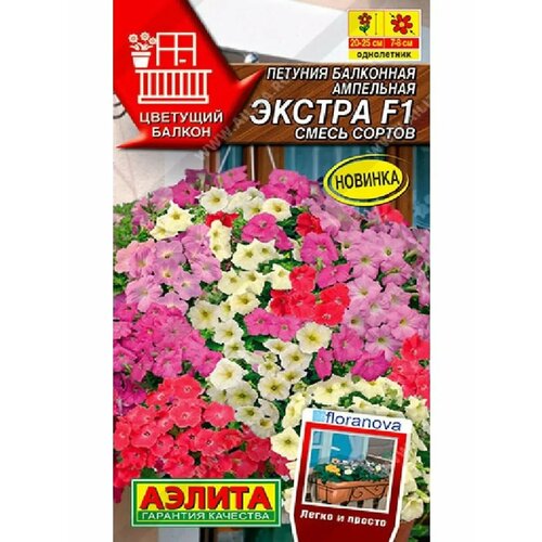 ������ ������ ������� 