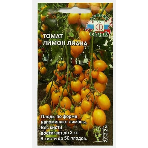 ������ ������ ������ ����� ����� ����� (0,1�) ����