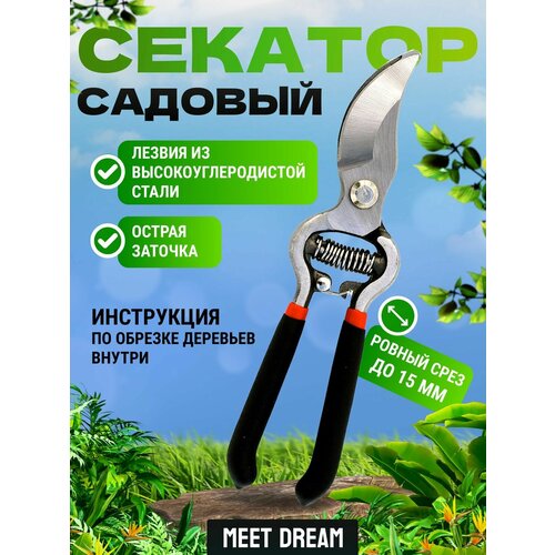 ������ ������ ������� ������� ����