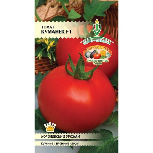 ������ ������ ����� ������� F1 10��. (�. �.) ����