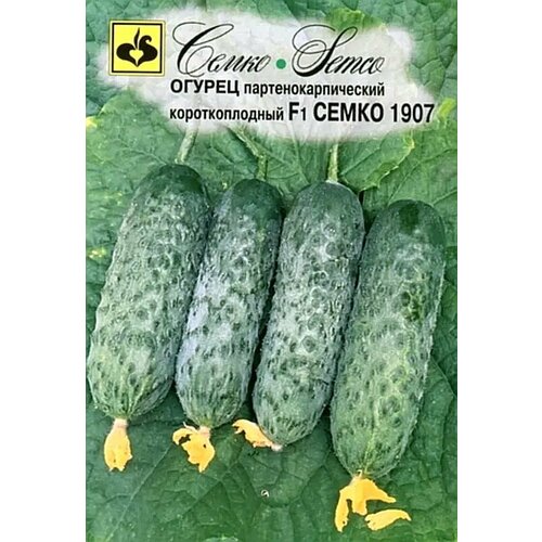 ������ ������ ������ ������ ����� 1907 F1 �������� 10�� ������������������ ������ (�����) ����