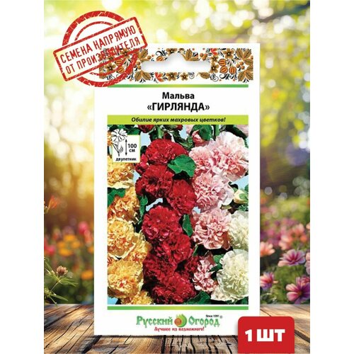 ������ ������ ������ ��������, ����� ����