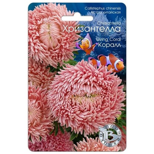 ������ ������ ������ ����� ��������� 