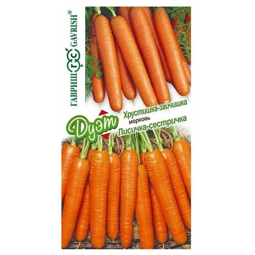 ������ ������ ������ ������ ���� ������� �������-���������+������� ���������-�������� 4 � ����