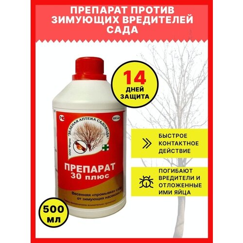 ������ ������ ������� ������ ��������, �������� �� �������� ���������� ���� � ������� 