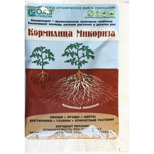 ������ ������ �������� ��������� �������� ��� ������, 30 � ����