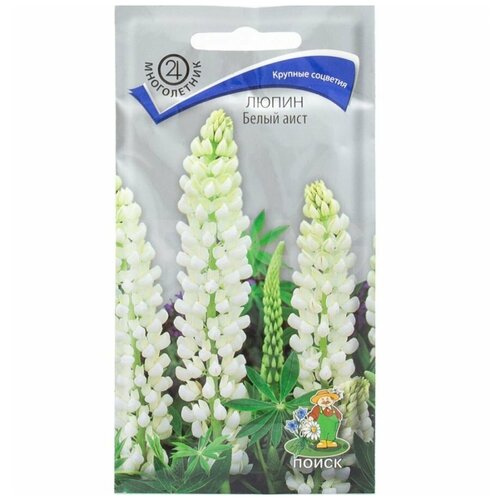 ������ ������ ������ ������ ����� ���� 1� ����