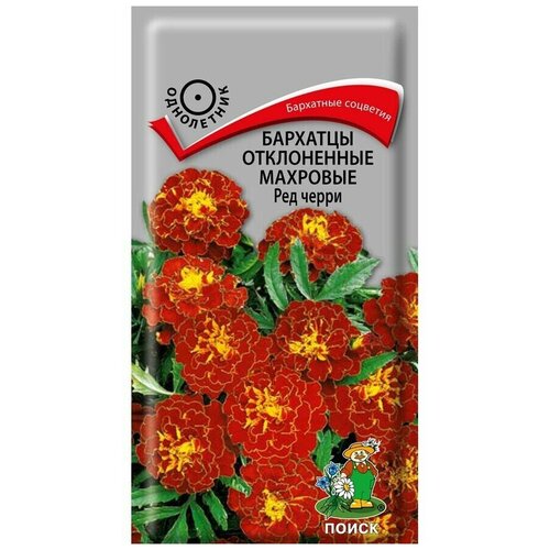 ������ ������ ������ ��������� ����������� �������� ����� ��� ����� 0,3 � ����