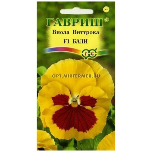 ������ ������ ������. ����� �������� 