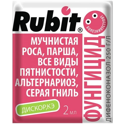 ������ ������ Rubit �������� �� �������� �������� ������, 2 ��, 2 � ����