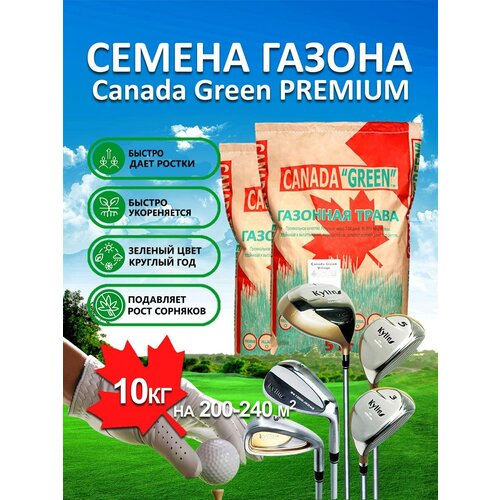 ������ ������ �������� ����� ������ CANADA GREEN PREMIUM, �������������, �����������, 10 �� ����