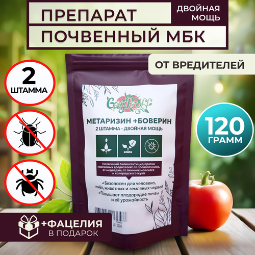 ������ ������ ��������� ������� ����������� �� ���������� 120� ����