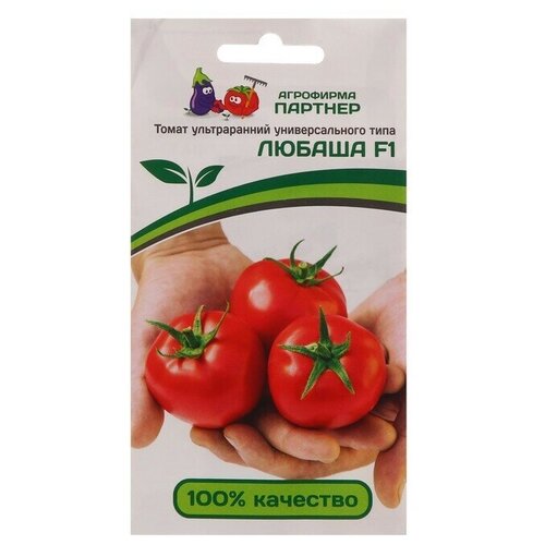 ������ ������ ������ ����� 