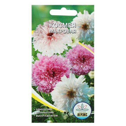 ������ ������ ������ ������ ������ ��������, �, 0,2 � ����