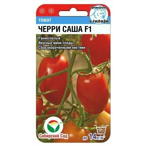 ������ ������ ������ ����� �����-���� F1 15�� ����� ������ (��������� ���) ����