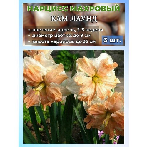 ������ ������ ������� ��������. �������� 3 ����� ����