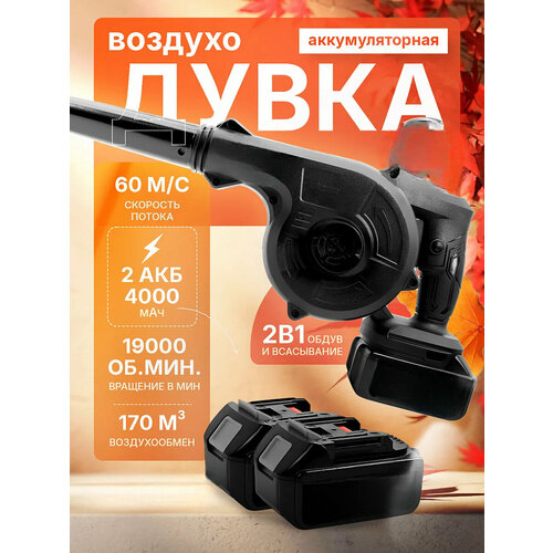 ������ ������ �������������� ������������ W5 � 2 ��� 48�� ����