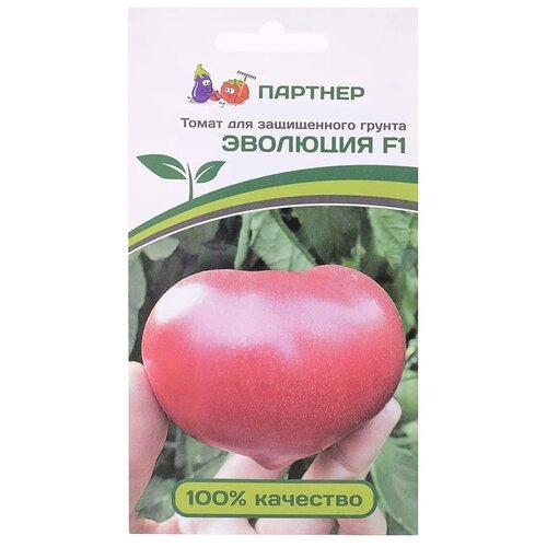 ������ ������ ������ ������ 