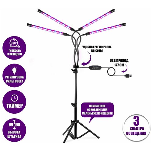 ������ ������ ��������� ������������, ���������� ��� �������� �� ������� FL-JBH-P � ������� �� �������, 4 ������ ����