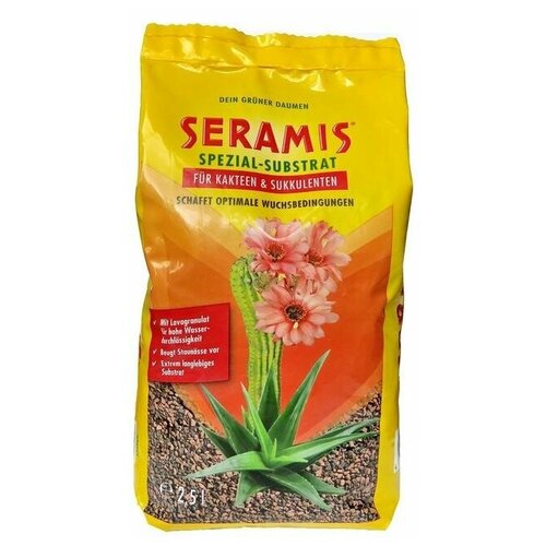 ������ ������ �������� 