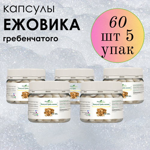 ������ ������ ������ ���� ����������� � �������� ����-��������, ����������� ������� ������� 60 ��*5 �������� ����