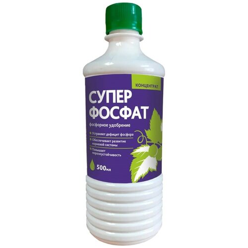 ������ ������ ����������� ���� 