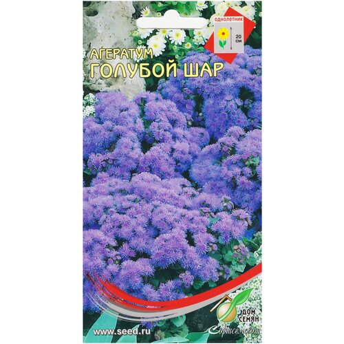 ������ ������ �������� ������� ���, 200 ����� ����