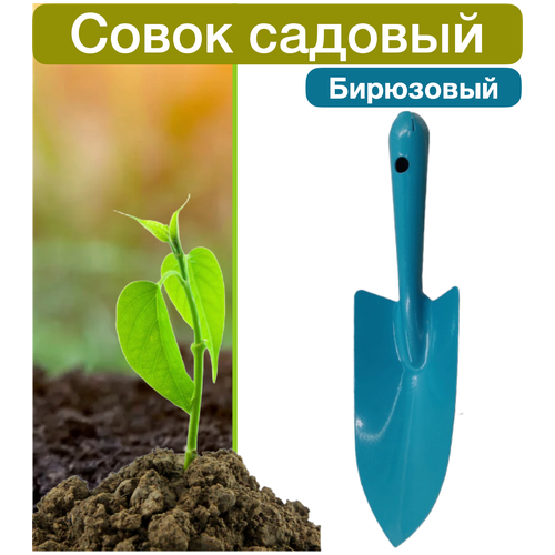 ������ ������ ����� ������� ����