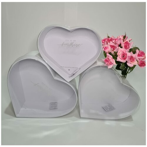 ������ ������ ����� ������� 3�1 � ���������� �������. ������ ����� Sunshine. ����