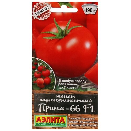 ������ ������ ����� 