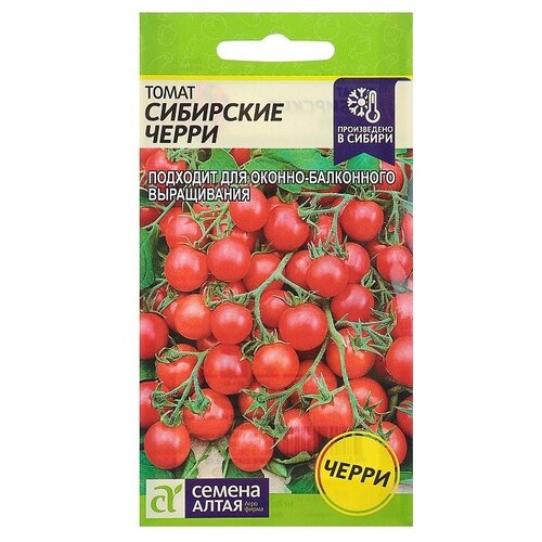 ������ ������ ������ ������ ����� ����� ��������� �����, 0,1 � ����