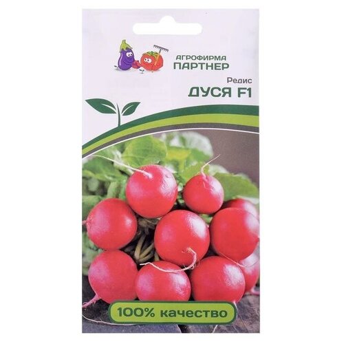 ������ ������ ����� ���� F1 1� ������� ����