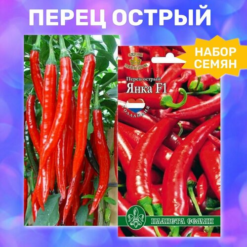 ������ ������ ������ ����� ������� ������ F1, ���� F1 ����