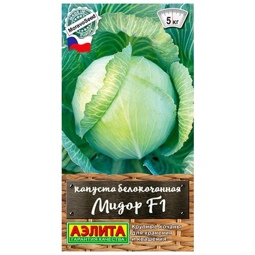 ������ ������ ������. ������� ������������ 