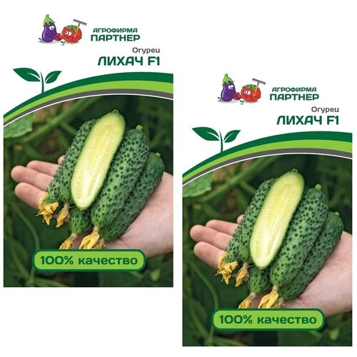 ������ ������ ������ ������ ����� F1 /��������� �������/ 2 �������� �� 5 ����� ����