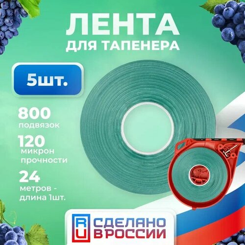 ������ ������ ����� ��� ���������� / �������� / �������� ��� �������� �������� ����������� 24�. 5 ���� ����