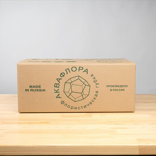 ������ ������ �������������� ����� 20 ����, ����� �������������� ����