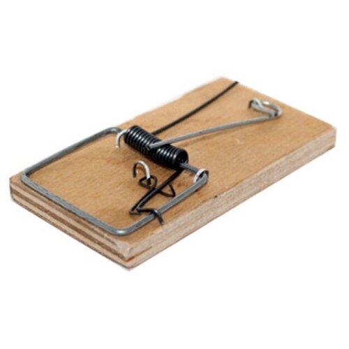 ������ ������ ���������� ��������� ����� 100 � 50 � 15 �� ����